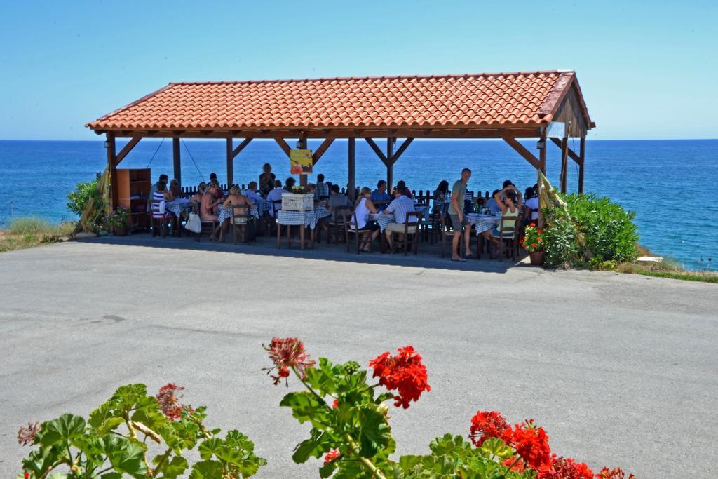 Orthi Ammos Konukevi